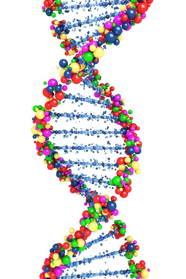  There are three billion letters in the human genetic code