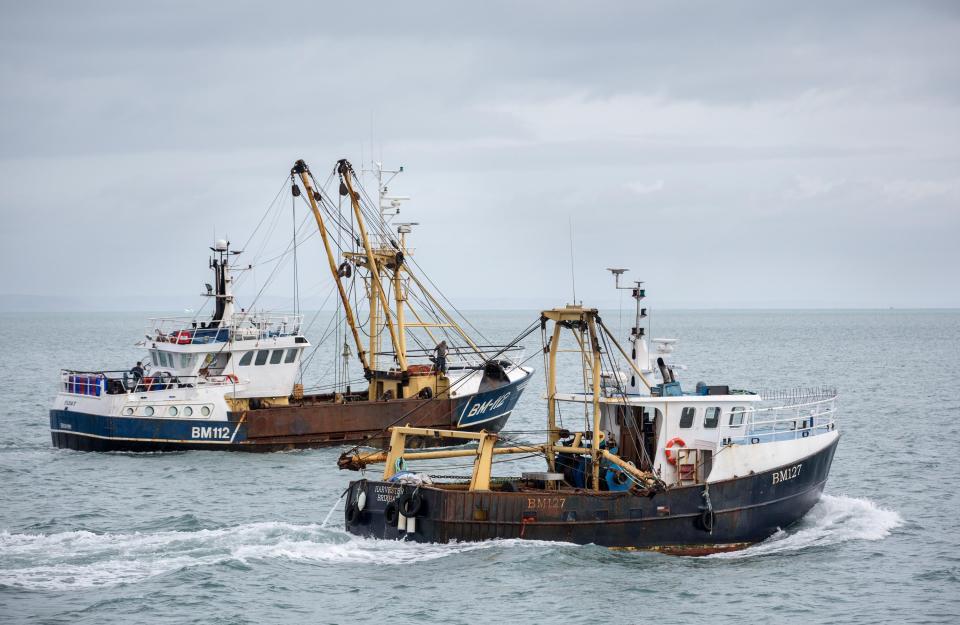  A 'black gold' fishing boom off the coast of Devon is underway