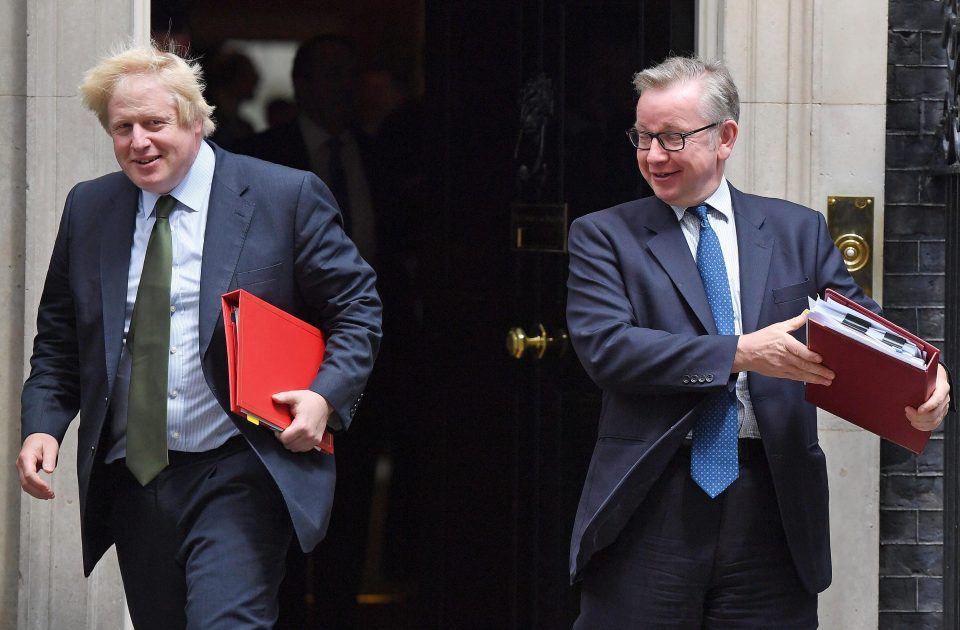  Michael Gove tweeted his support for Boris Johnson in his Brexit stats row