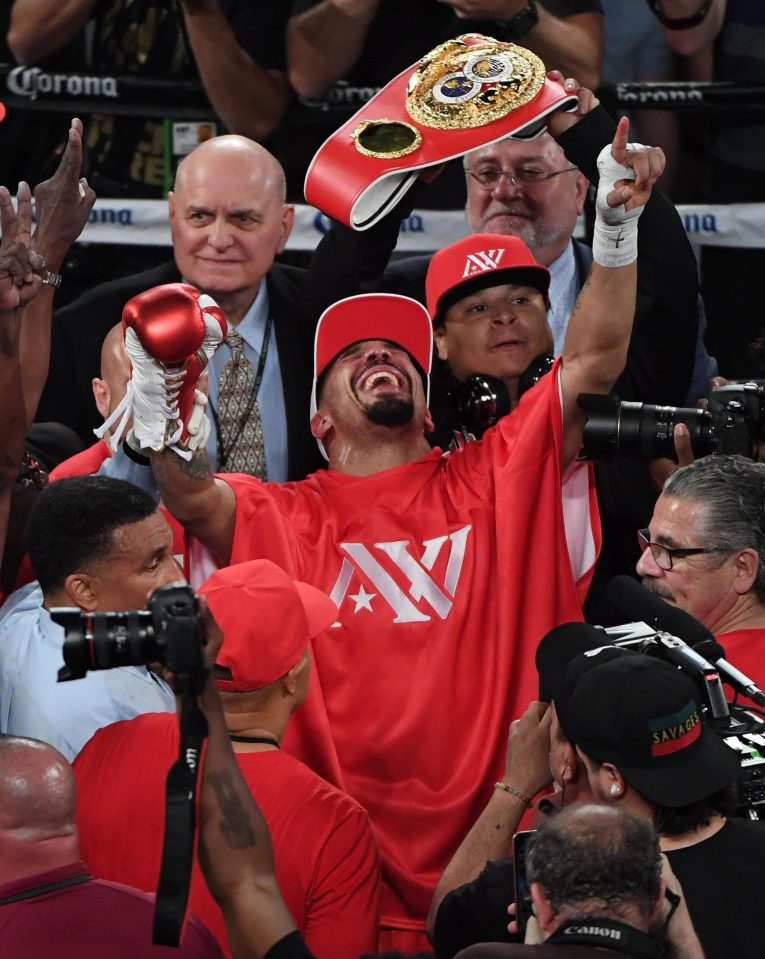  Andre Ward celebrates victory over Sergey Kovalev after his emphatic KO win