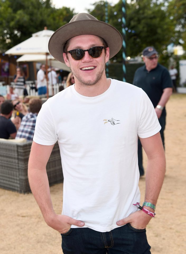  Singer Niall, 24, admitted that the stunning movie star would be his "dream celebrity date" during a recent interview