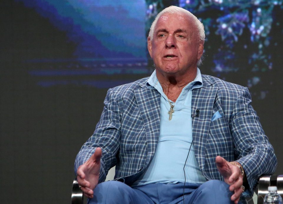 Ric Flair is a two-time WWE hall of famer