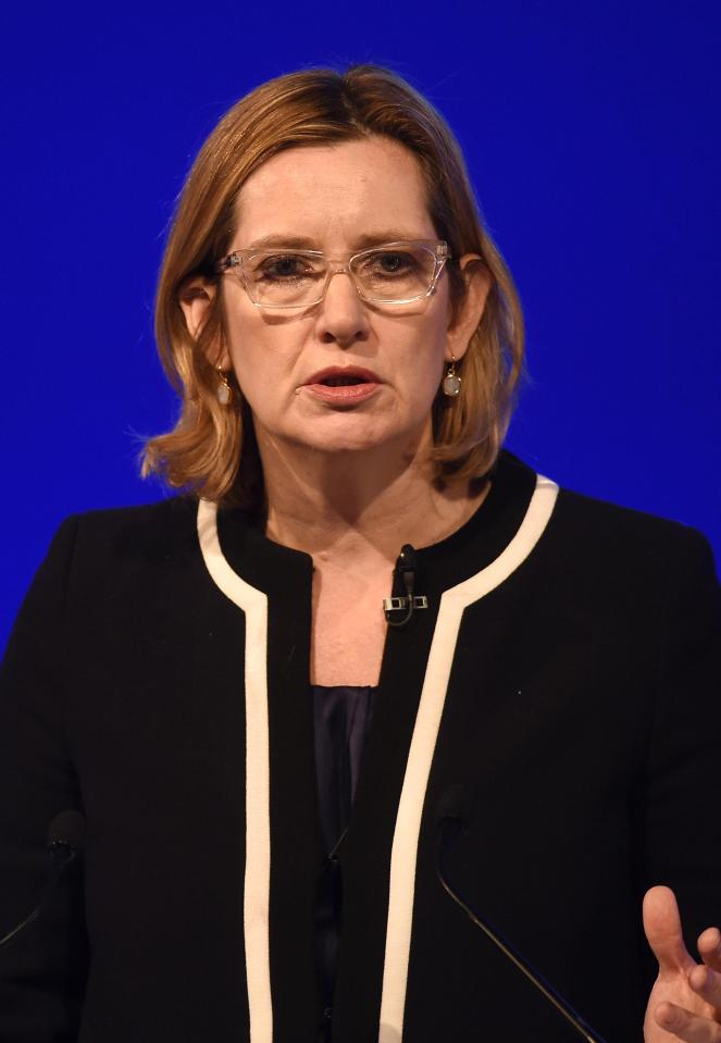  Home Secretary Amber Rudd is said to be keen to team up with Hammond to push the soft-Brexit agenda