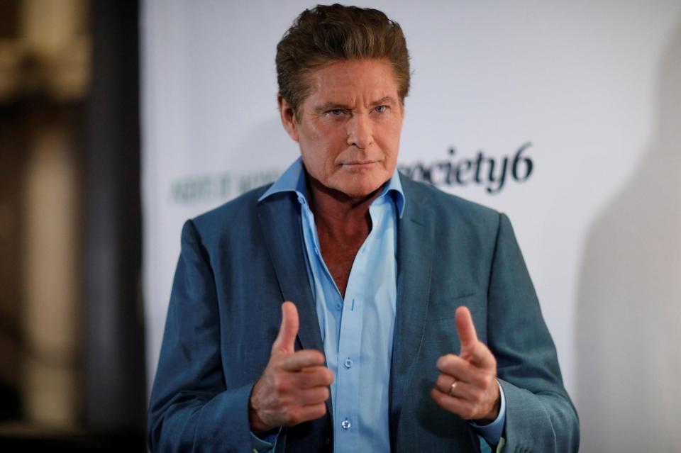 David Hasselhoff is an acting legend - but he is clearly a fan of Woodburn