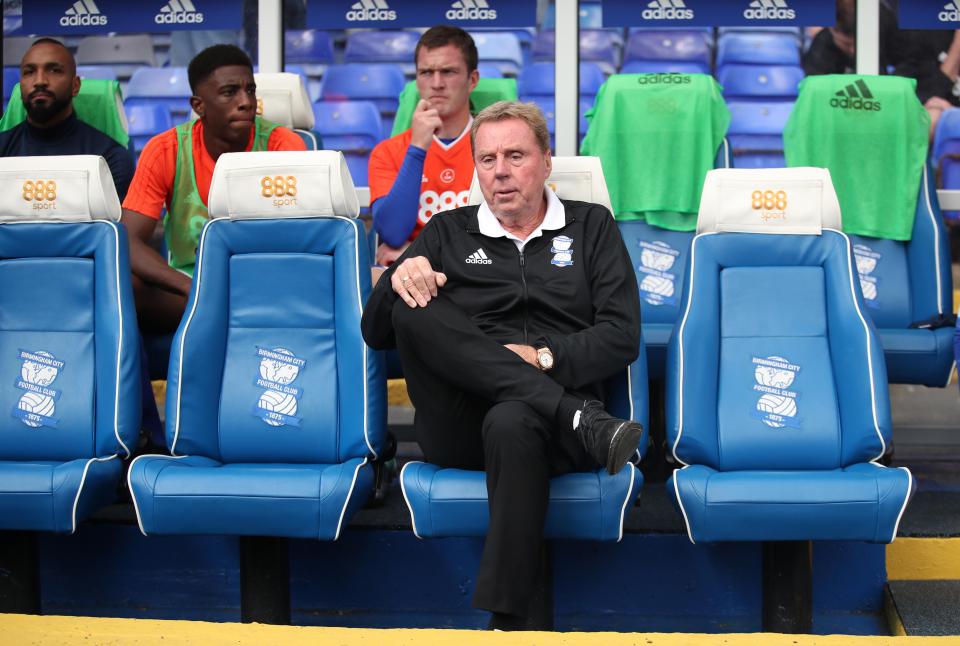 Harry Redknapp was forced to bring in a new right-back due to Jenkinsons injury