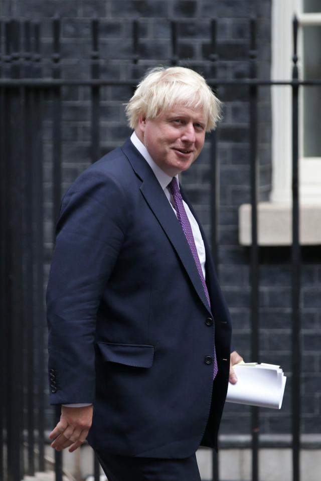  Boris Johnson has topped a poll as the favourite to replace Theresa May as leader of the Tory party