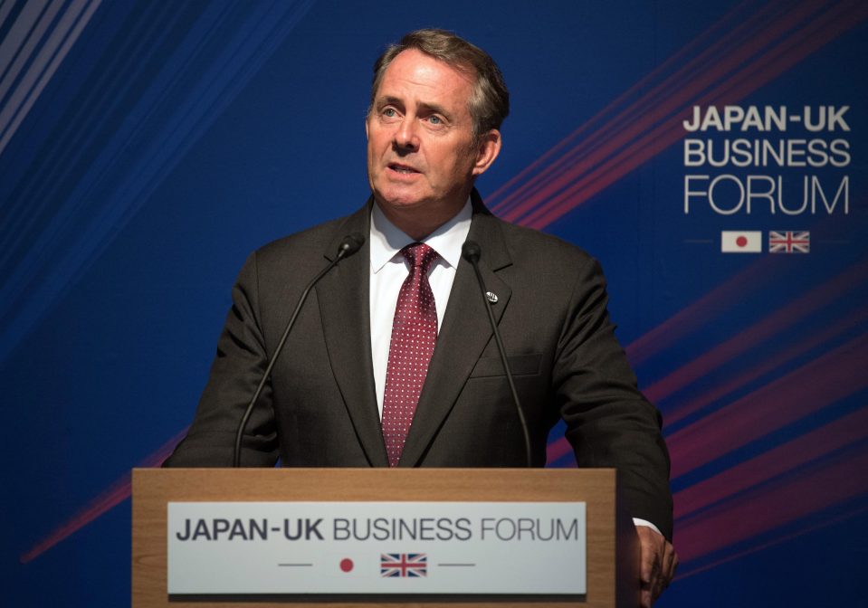  Liam Fox is aiming to strike trade deals around the world