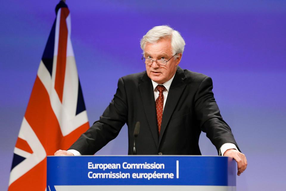  David Davis insisted that Brexit talks are only going slowly because Britain is intent on going through the proposed bill 'line by line'