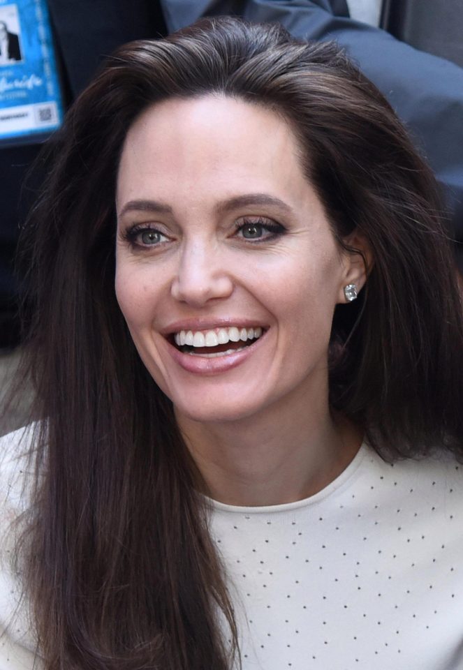  Angelina didn't hold back in telling Brad how she felt during the meeting according to her biographer