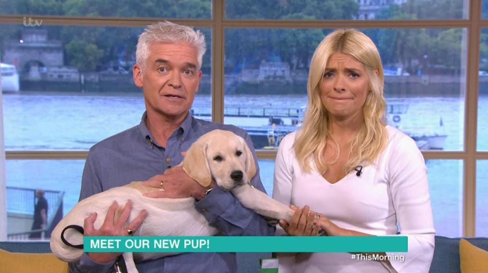  Holly Willoughby was delighted to meet the new This Morning puppy