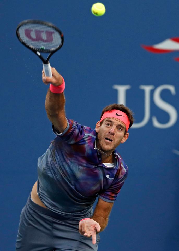  Juan Martin del Potro has had his tennis career wrecked by injuries