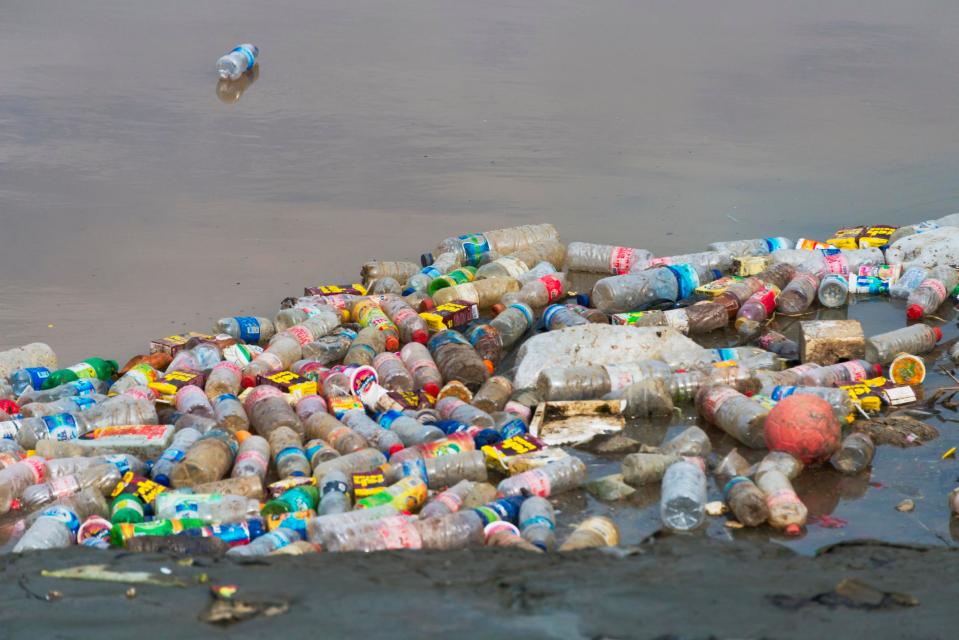 Millions of marine animals are dying because of plastic debris which ends up in the ocean