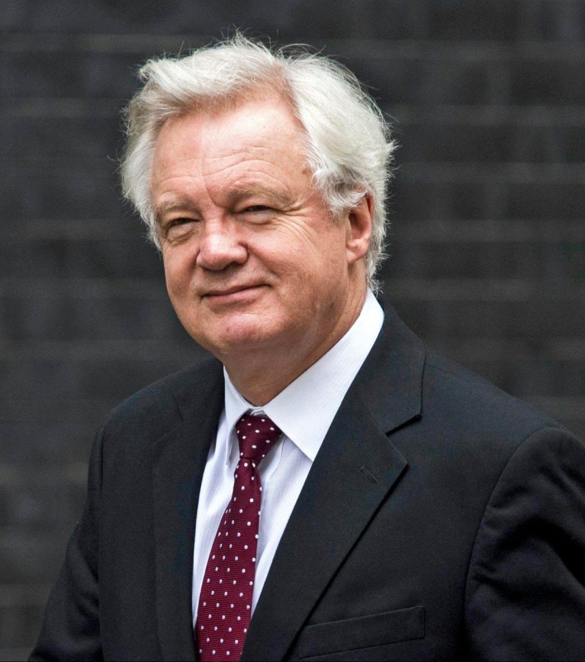  David Davis has accused Labour of 'betraying their own voters'