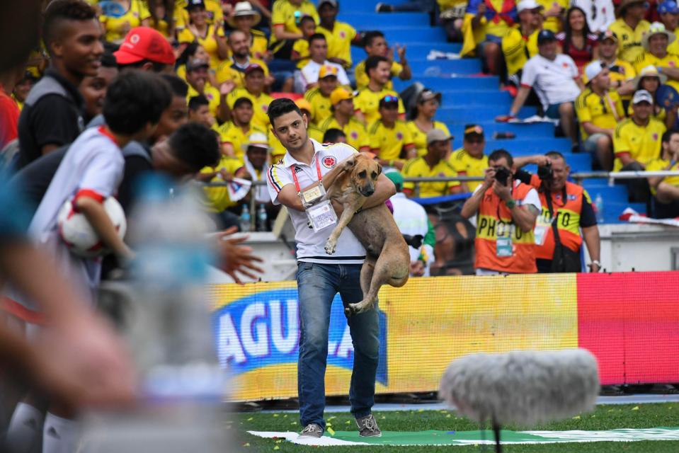  But the pitch invading canine was taken away by stadium security in Barranquilla