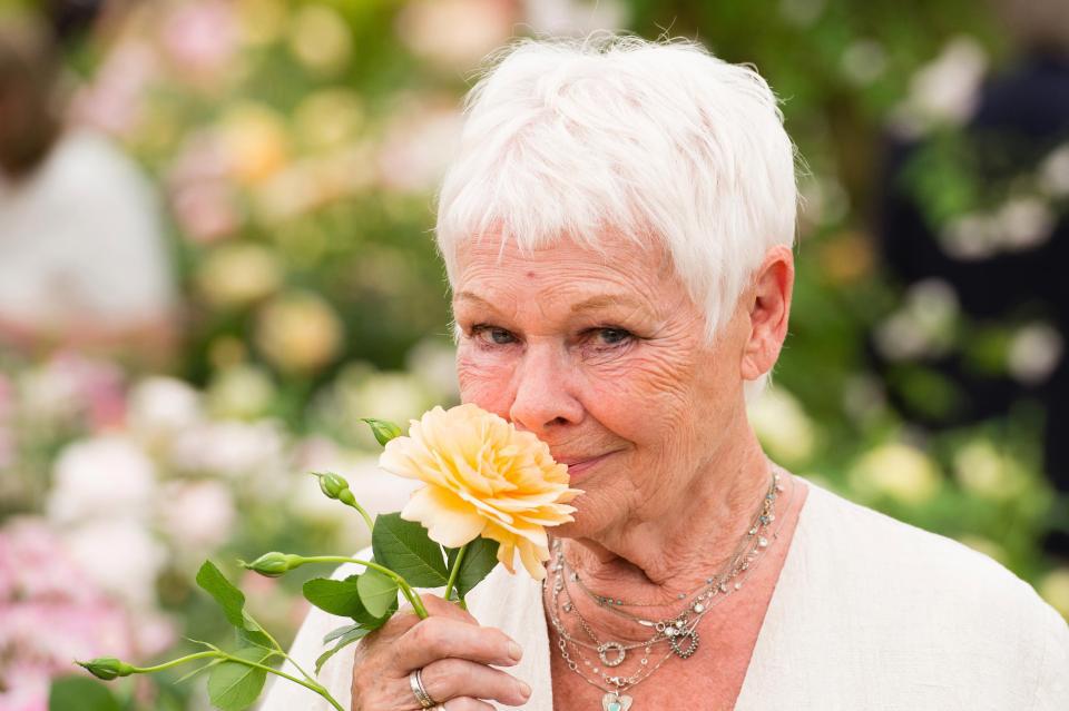  Actress Judi Dench was made a Dame of Order of the British Empire in 1988