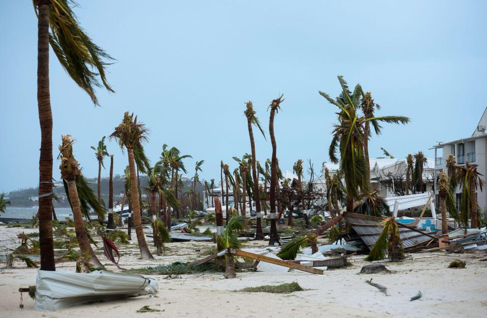  Broken palm trees on the beach of the Hotel Mercure in Marigot