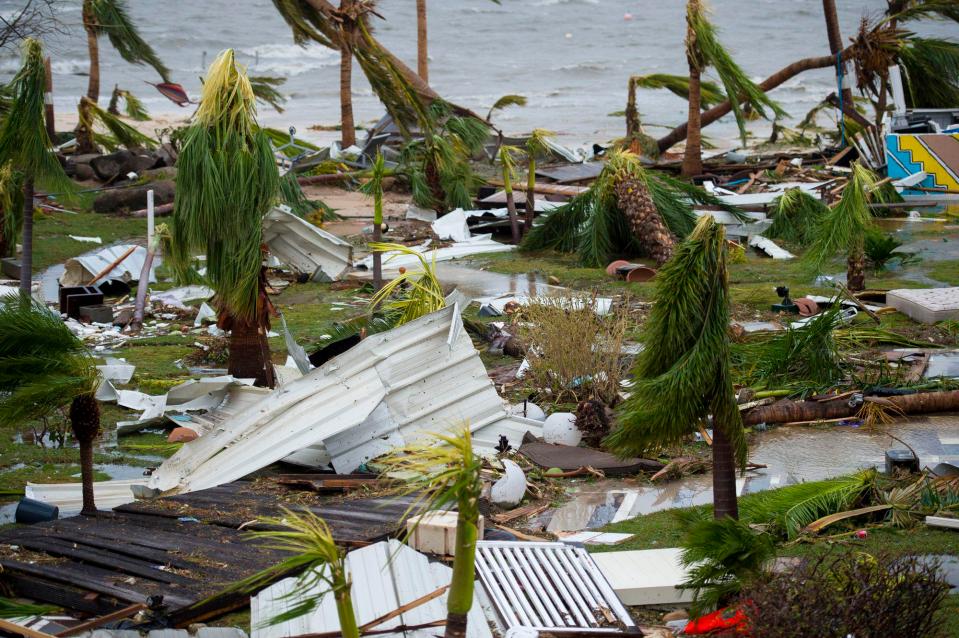  Destroyed palm trees outside the Mercure hotel