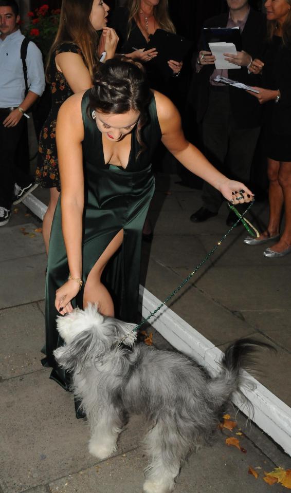  She almost flashed too much as she posed with new dog Sully