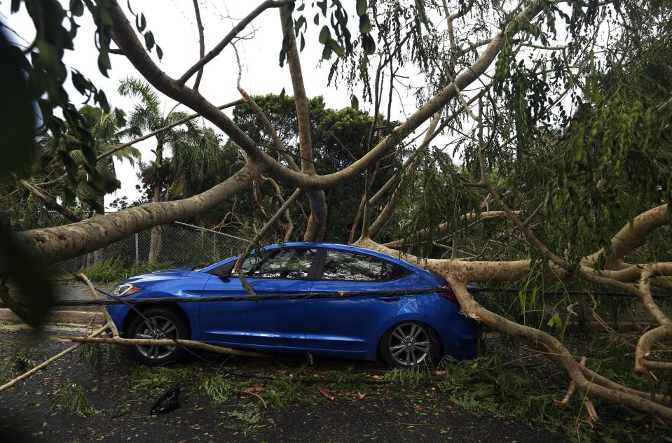  Trees collapsed on a blue car in San Juan, Puerto Rico on Thursday