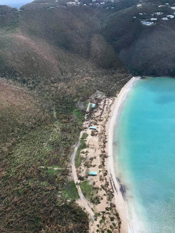  Thousands of trees were felled along the island's coastline