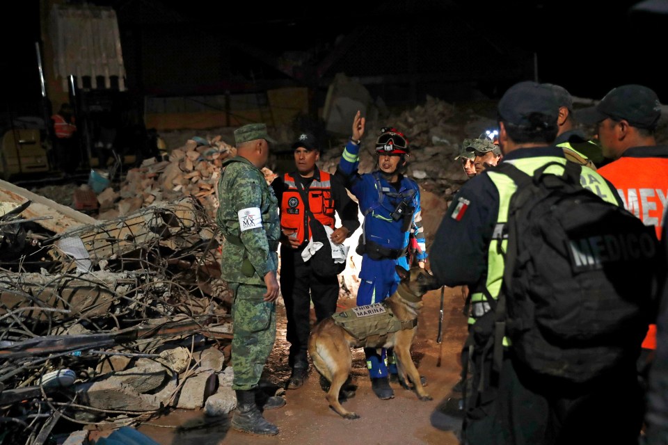 Hundreds of rescue workers search for survivors in the remains of the town hall