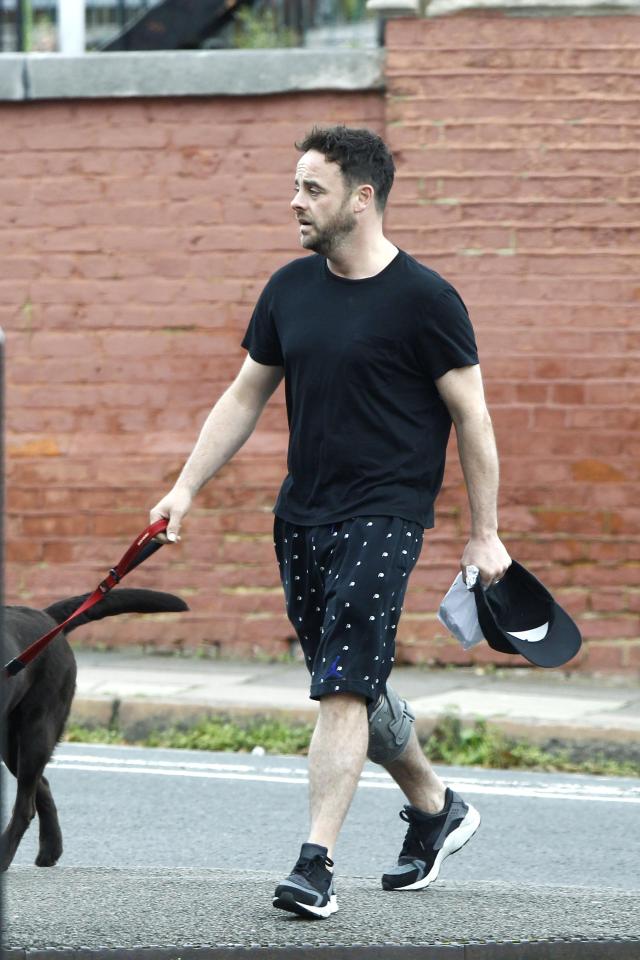  Ant McPartlin failed to raise a smile as he was walked his dog