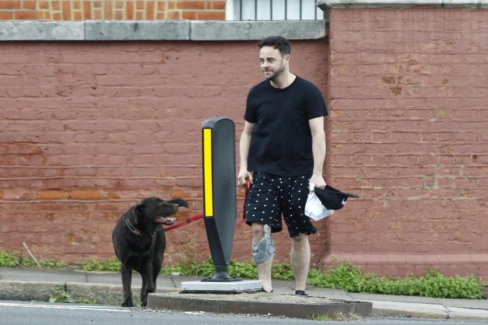  Ant McPartlin out and about in London with his pooch by his side