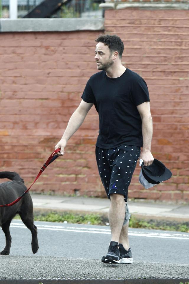  Ant McPartlin was spotted walking his dog in London