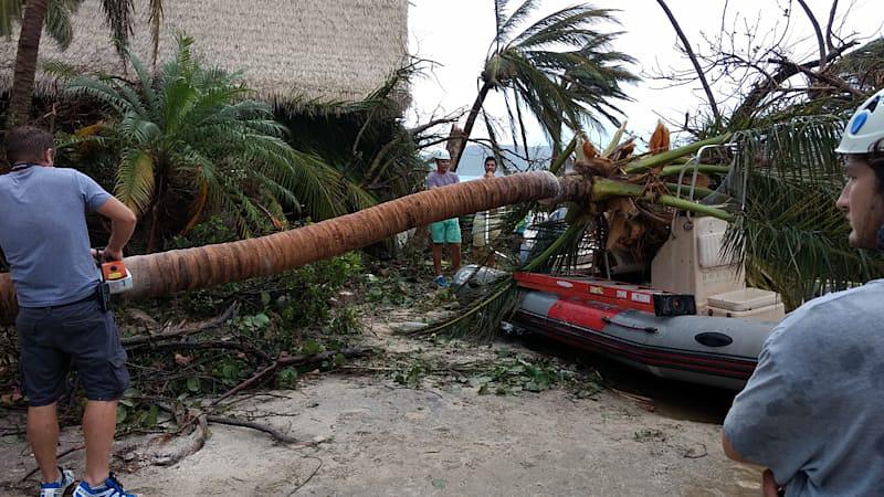  Trees have also been ripped up