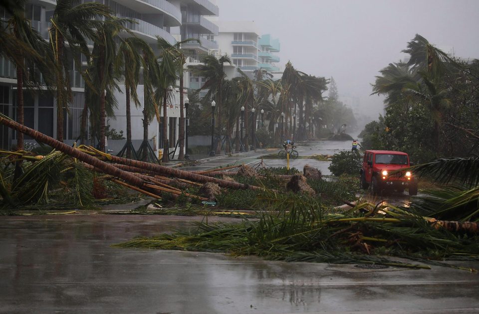  Trees have been uprooted, homes destroyed and businesses ruined by the mega-storm