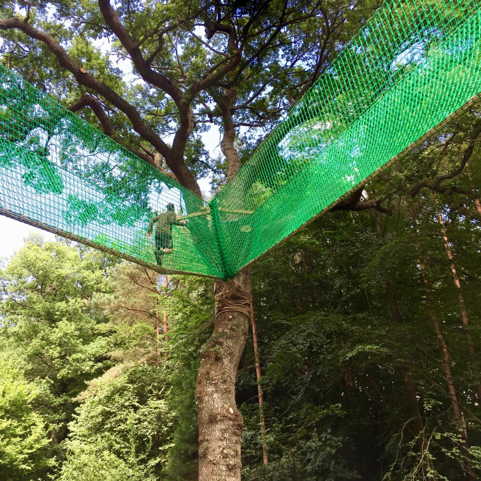 In Kent you can have an adventure on the UK's longest and highest canopy walkway