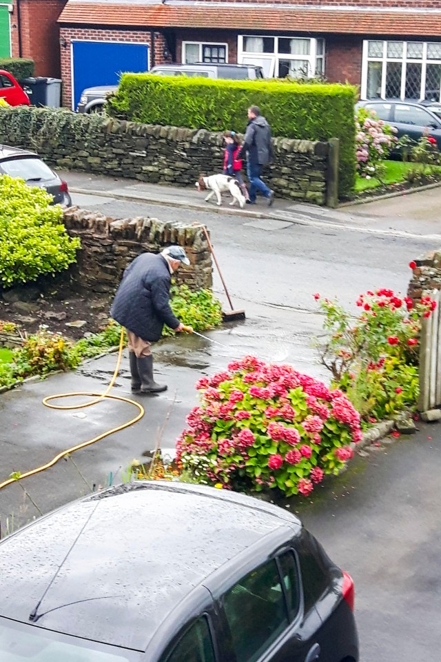 The animals were caught eating glass and flowers and leaving their mess on resident’s drives