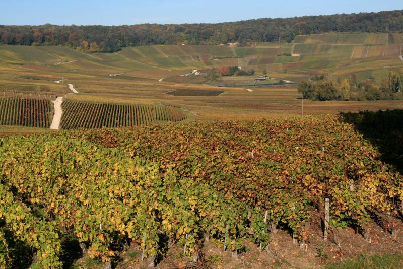 The vineyards of Champagne are less than three hours' drive from France's northern ports