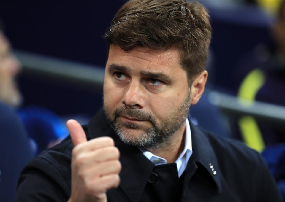 Mauricio Pochettino was pleased with his side’s work