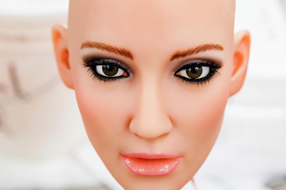 Sex dolls have become startlingly advanced in just a few short years