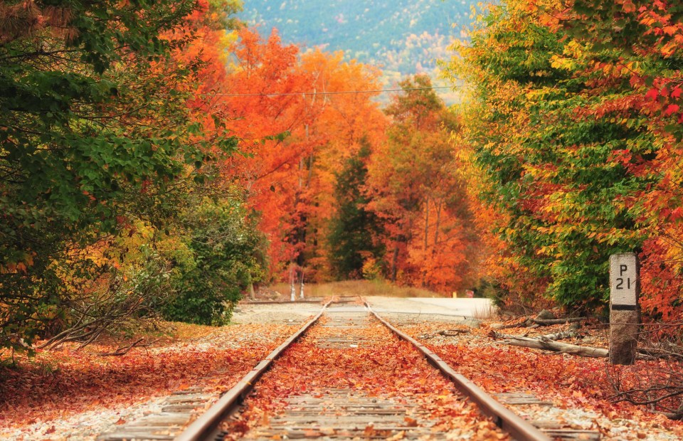 New England is the place to see a kaleidoscope of colour in The Fall