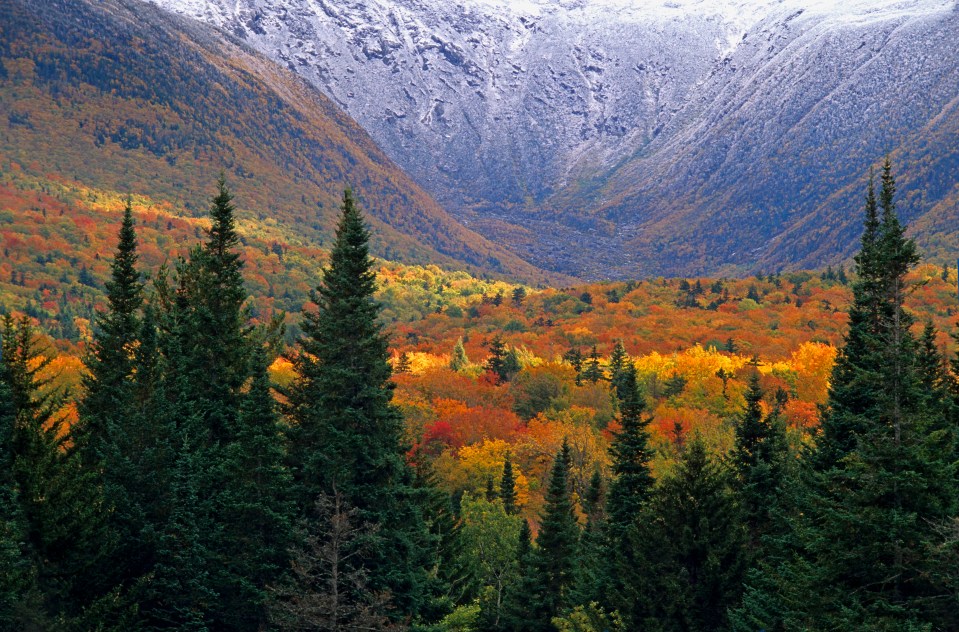 The leaves are just starting to change colours in Maine, Vermont and New Hampshire