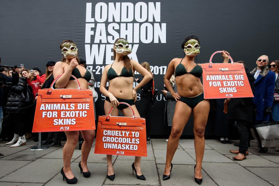  Animal charity protesters arrived at London Fashion Week in February in their underwear to call for the end of the use of crocodile skin in fashion