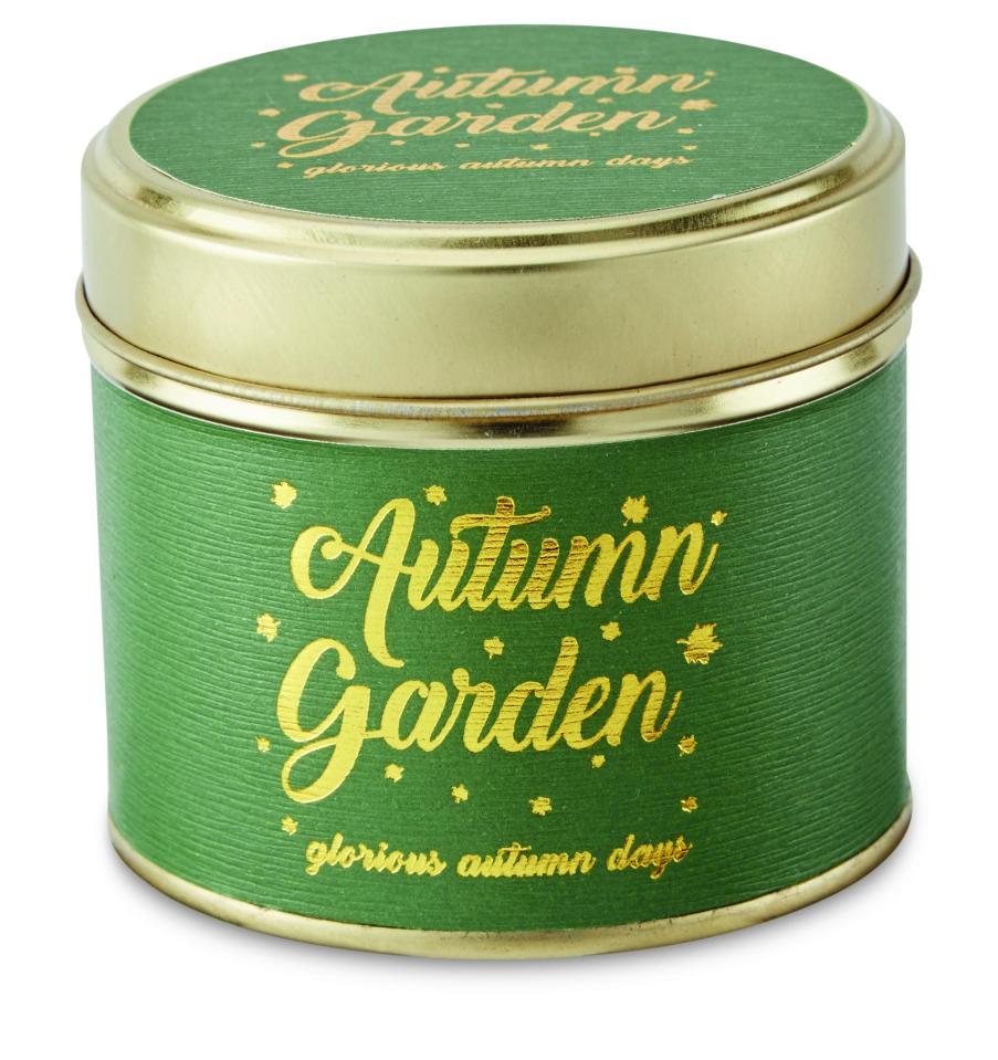 Aldi is launching a range of scented tin candles - and they're a dead-ringer for Lily-Flame's