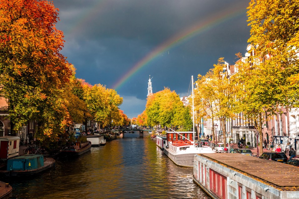 There are 400,000 trees binding the canal banks in 