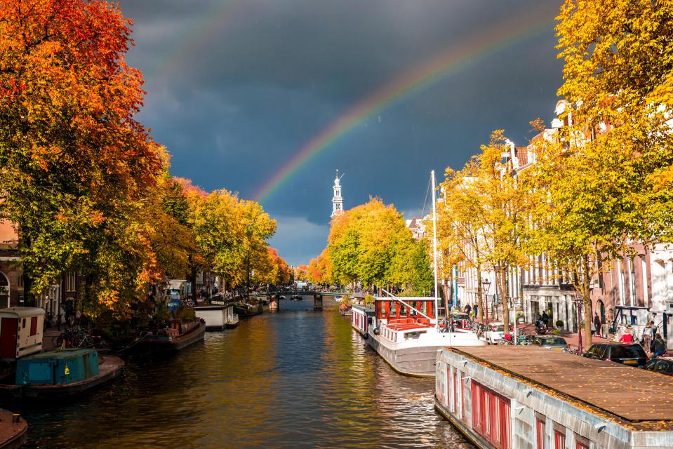  There are 400,000 trees binding the canal banks in Amsterdam