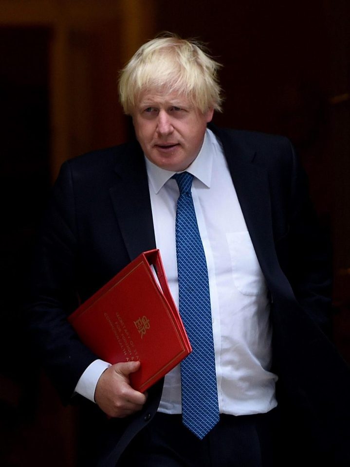  Boris Johnson will not accept Theresa May's deal to pay the EU £10 billion a year after Brexit