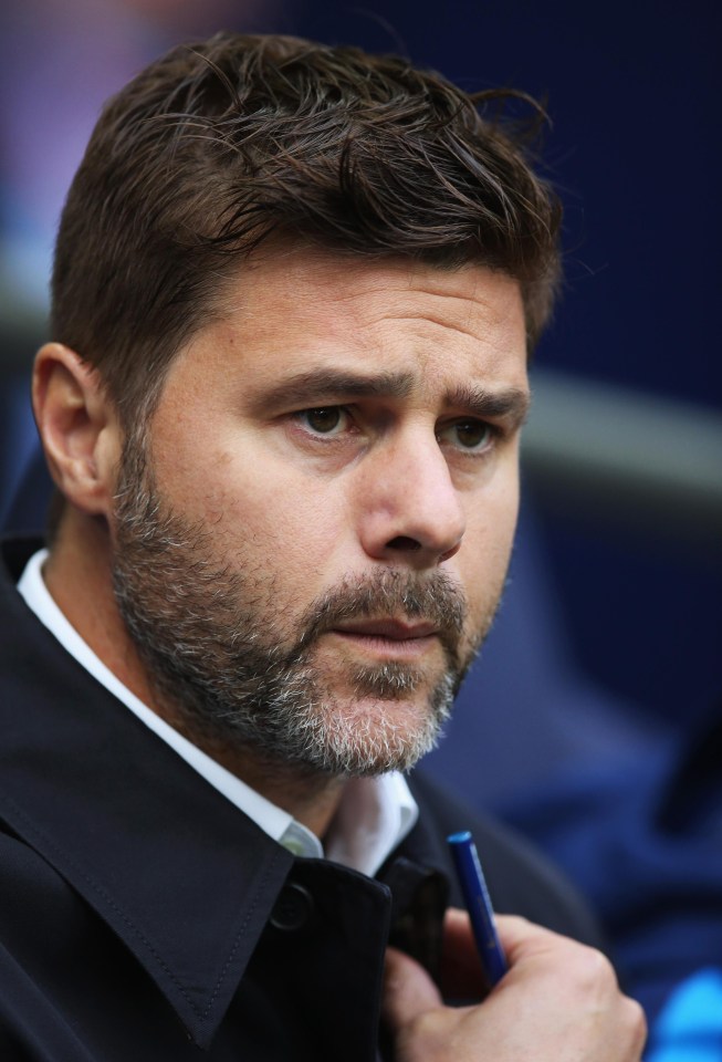 Mauricio Pochettino will have some decisions to make on what business Spurs do in January