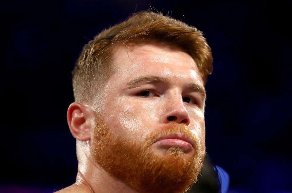  Canelo landed some incredibly strong punches on GGG