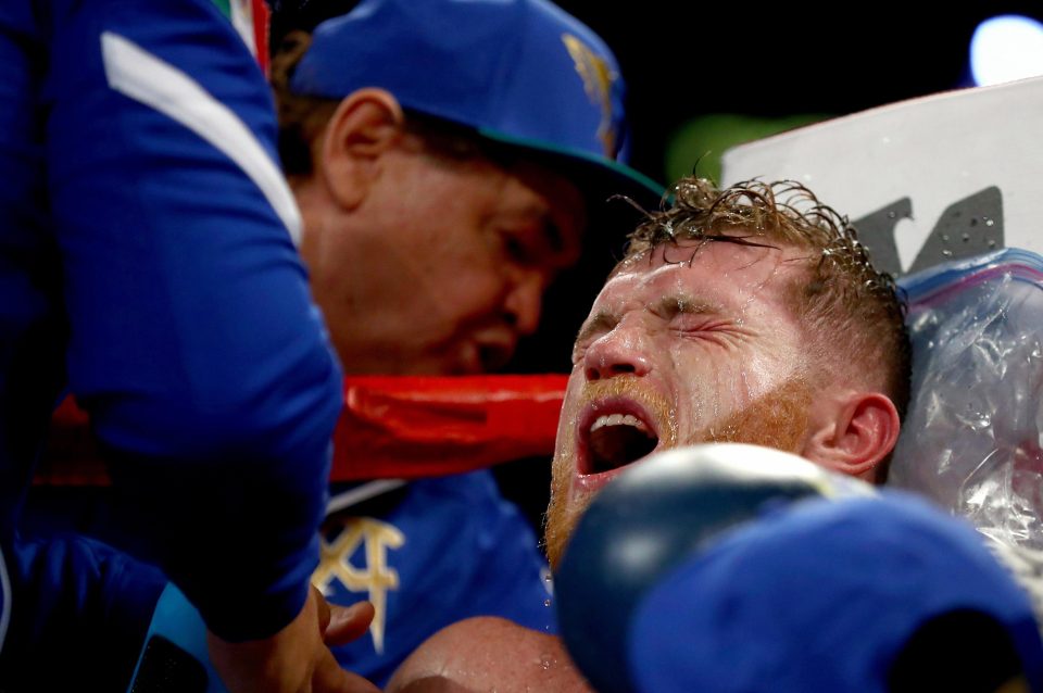  Canelo can be seen doing everything he can to recover in between rounds