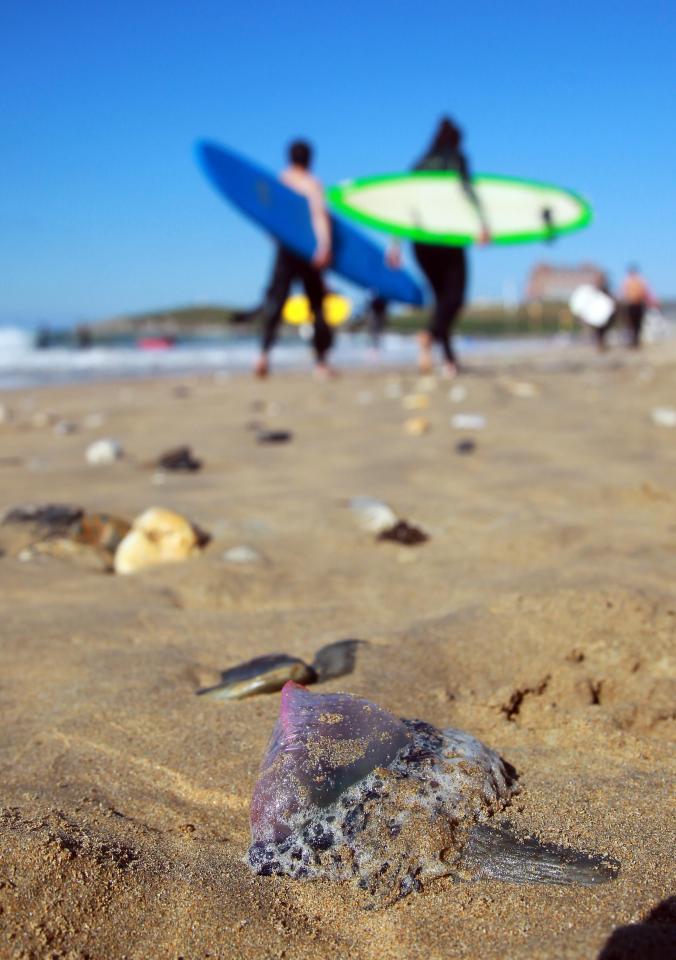 Beach-goers have been warned to remain vigilant 