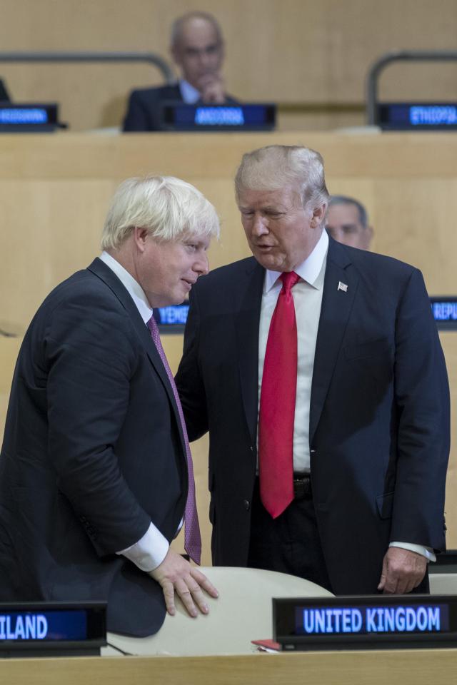  Boris painted a rosier picture at the UN