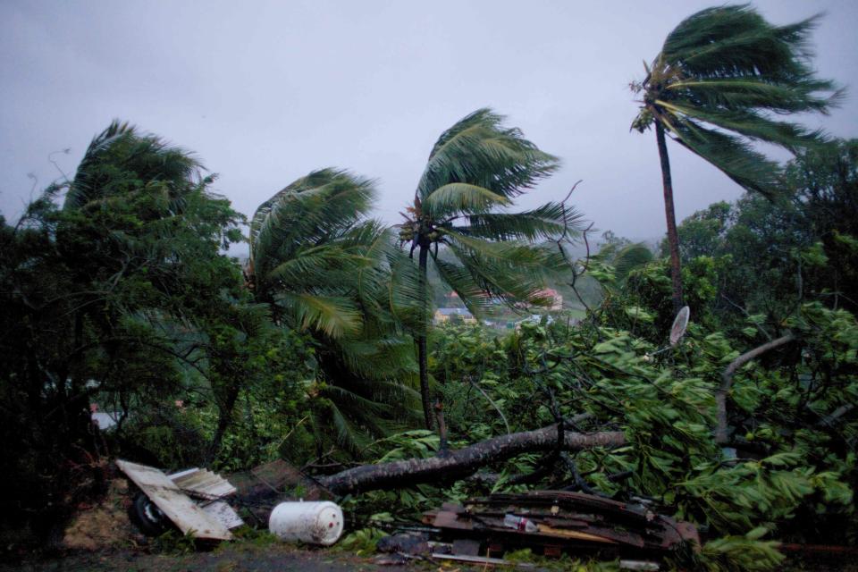  The powerful winds wrenched thick trees out of the ground in the French-owned island