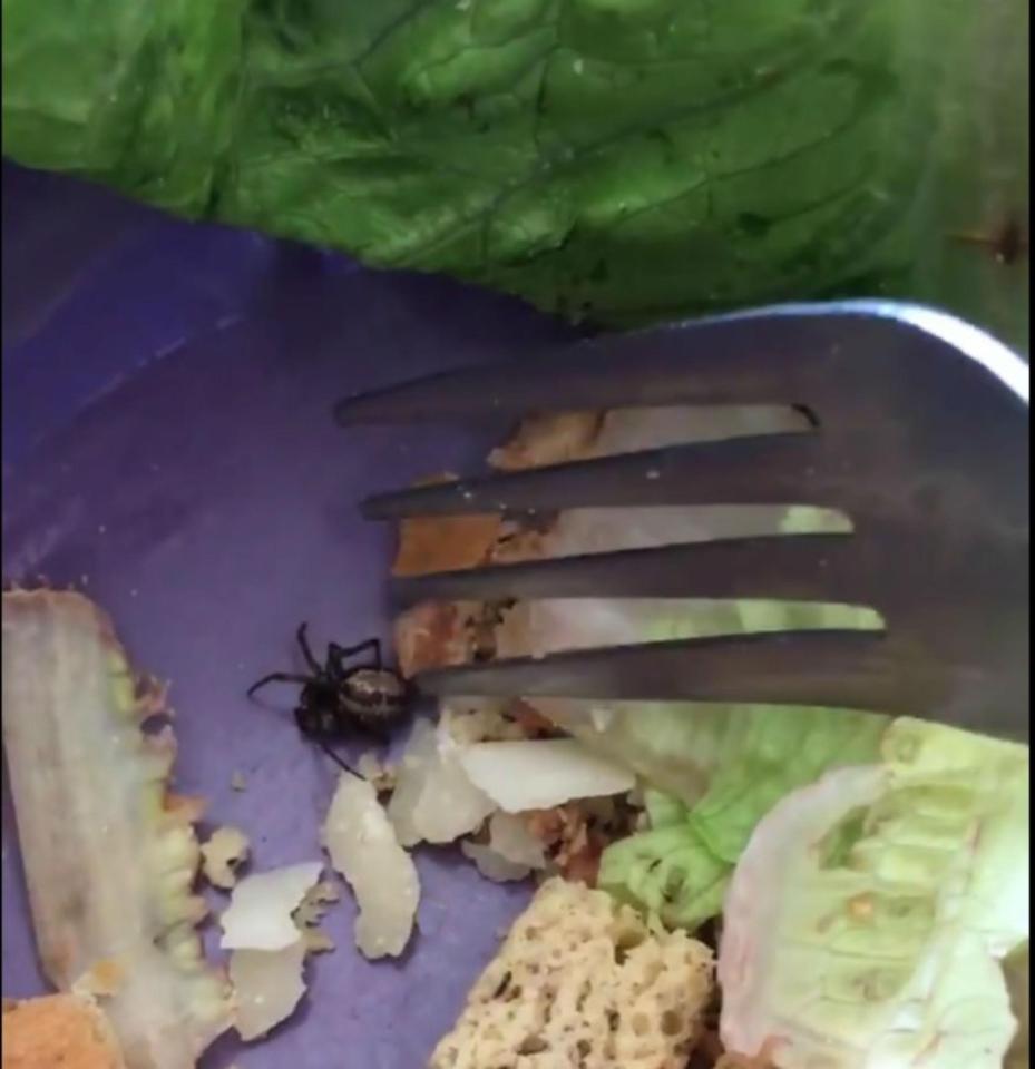  The mum claims she found the spider halfway through eating a Sainsbury's Caesar salad