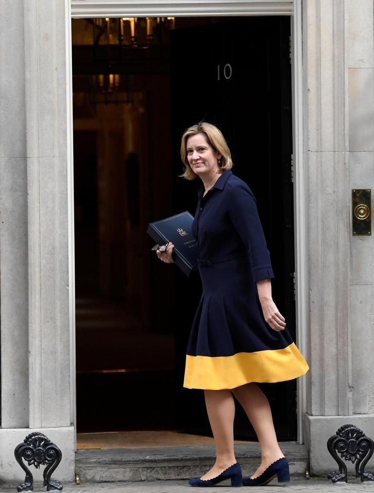  Amber Rudd faced an awkward reunion with Boris after she accused him of 'backseat driving' last Sunday